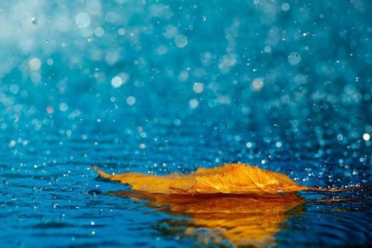 التساقطات المطرية المسجلة في 24 ساعة الماضية