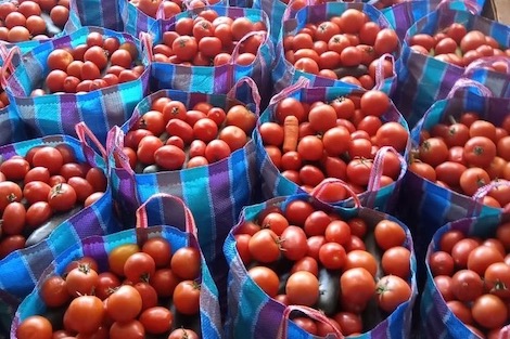 تجار “سوق الجملة” يوزعون مائتي قفة بالمحمدية