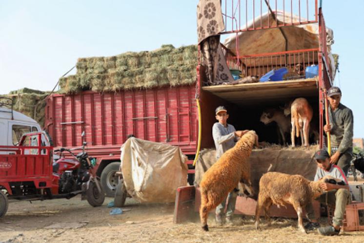 جهة الشرق تدعم “الكسابة” لمواجهة قلة الأمطار