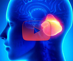 علوم الأعصاب خلال دقيقتين: المخيخ