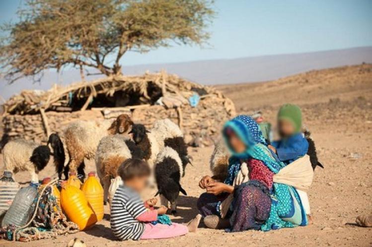مطالب بالتدخل لصد اعتداءات الرعاة الرحل بسوس