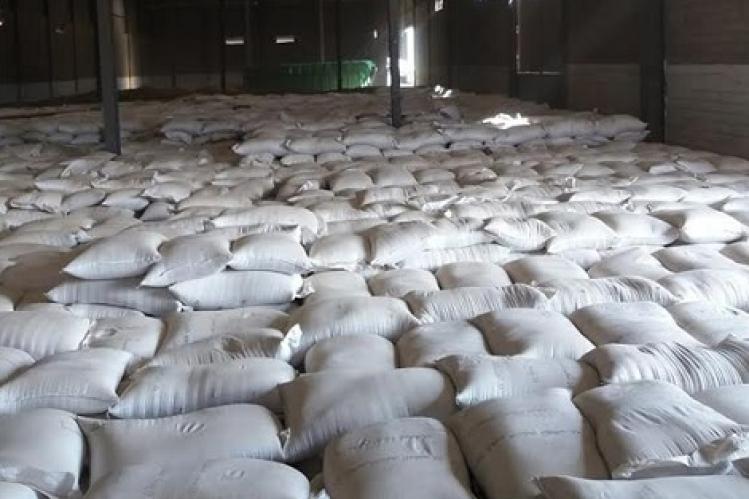 أطنان من الشعير المدعّم تصل “الكسّابة” بخريبكة