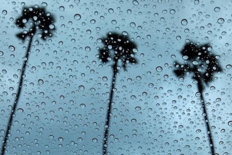 النواصر تتصدر المدن الممطرة بالمغرب خلال يوم