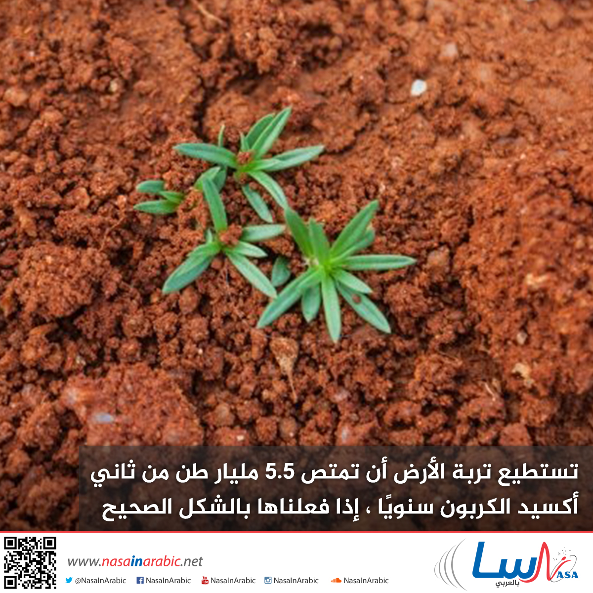 تستطيع تربة الأرض أن تمتص 5.5 مليار طن من ثاني أكسيد الكربون سنويًا ، إذا فعلناها بالشكل الصحيح