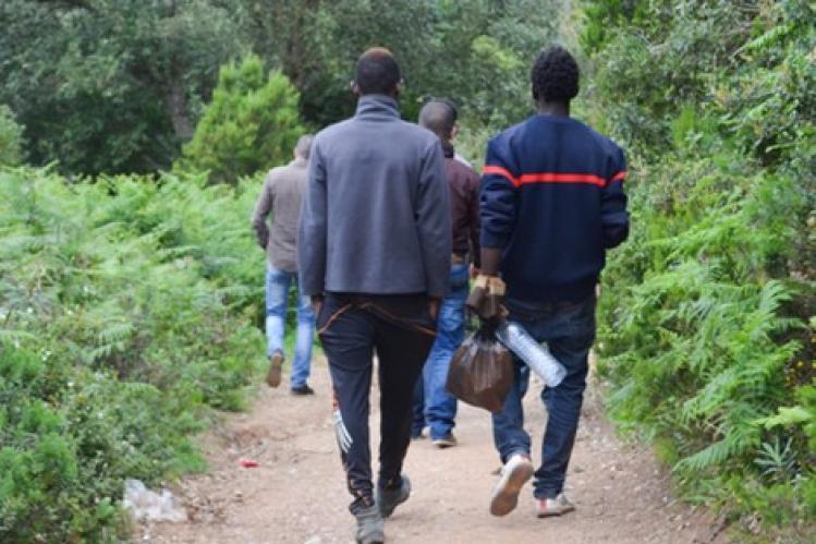 دعم غذائي يستهدف مئات المهاجرين في طنجة