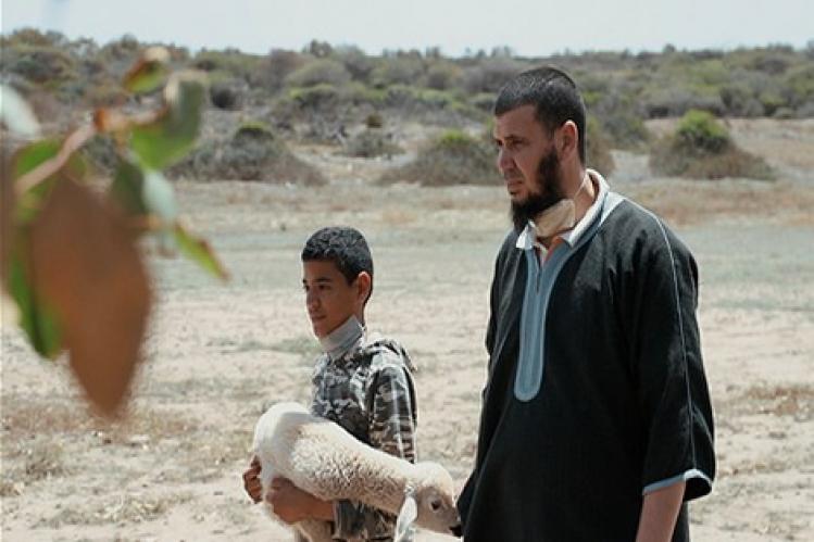 دهس أغنام راعٍ .. شجرة تخفي غابة “خروقات أجانب” ببنسليمان