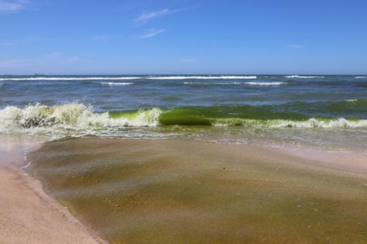 شركة تهيئة زناتة توضح بشأن تلويث شاطئ بالوما