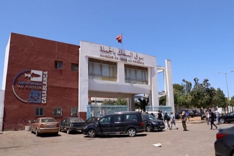 ظهور كورونا بسوق السمك يربك سلطات البيضاء