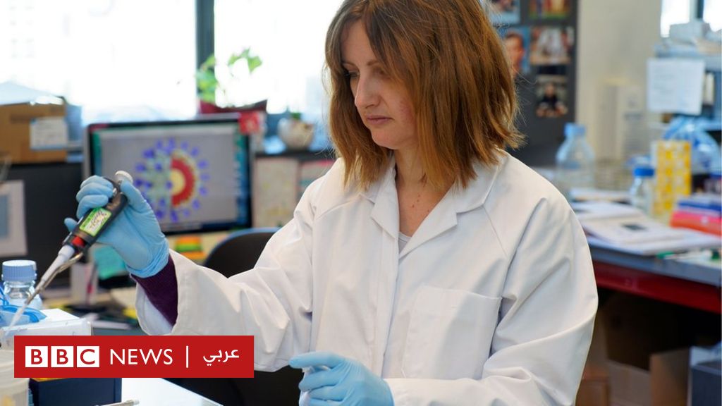 فيروس كورونا: كل ما تريد معرفته عن التعابير العلمية لوصف الوباء في نموذج تفاعلي