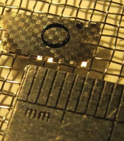 اختبر الباحثون قدرة الأجسام الطائرة ذات الألواح النانوية على حمل حمولات صغيرة. حقوق الصورة: Bargatin Group, Penn Engineering