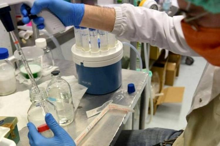 نسبة التعافي من كورونا تتجاوز 71 % بجهة فاس