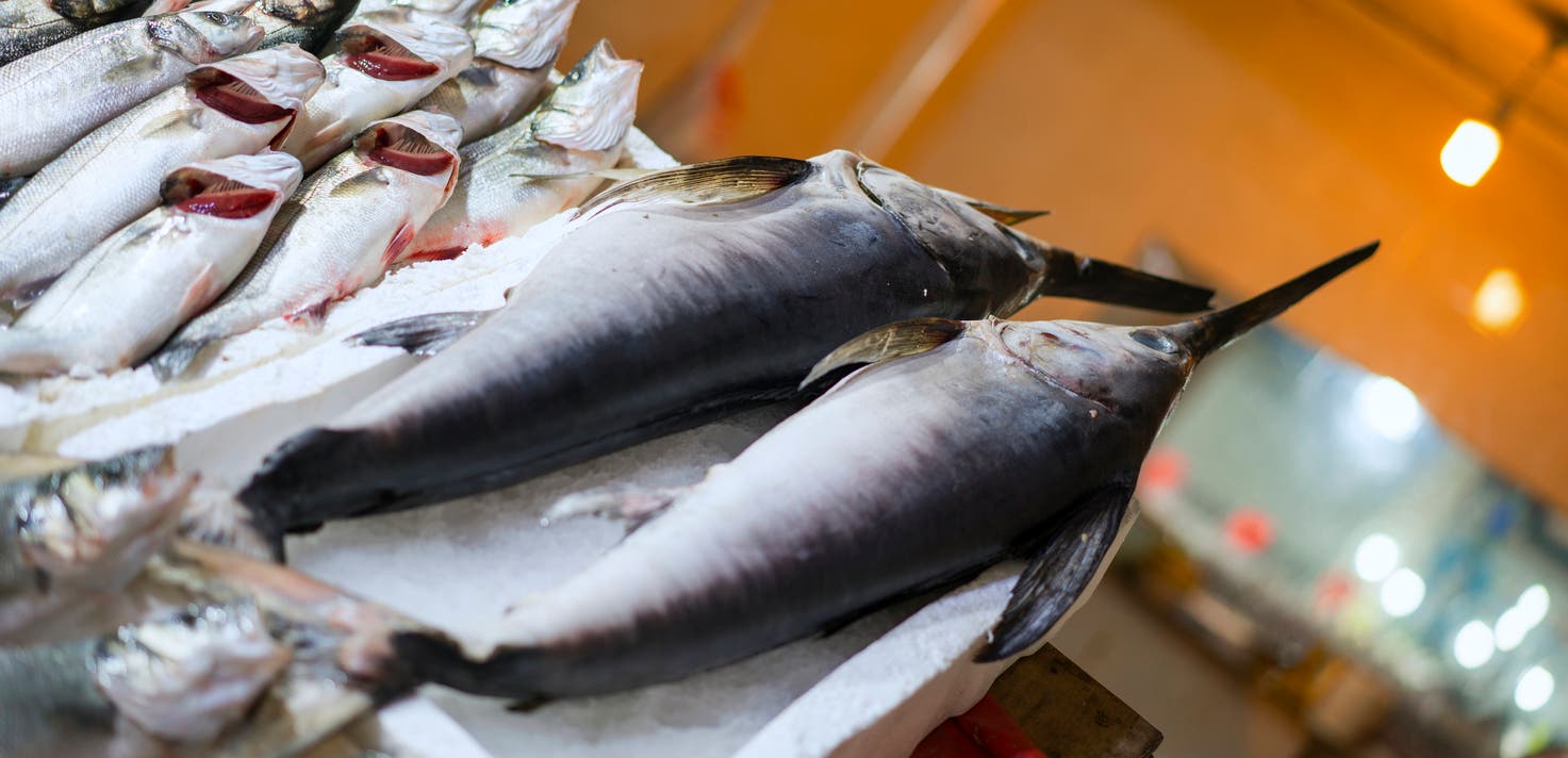 هذه الأنواع من الأسماك هي أفضل مصادر فيتامين “د”