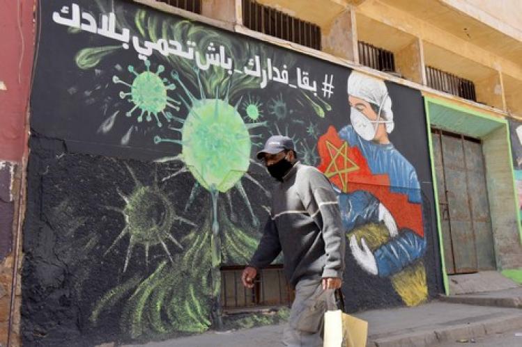 8 جهات تخلو من الإصابات الجديدة .. و769 حالة تتلقى العلاج