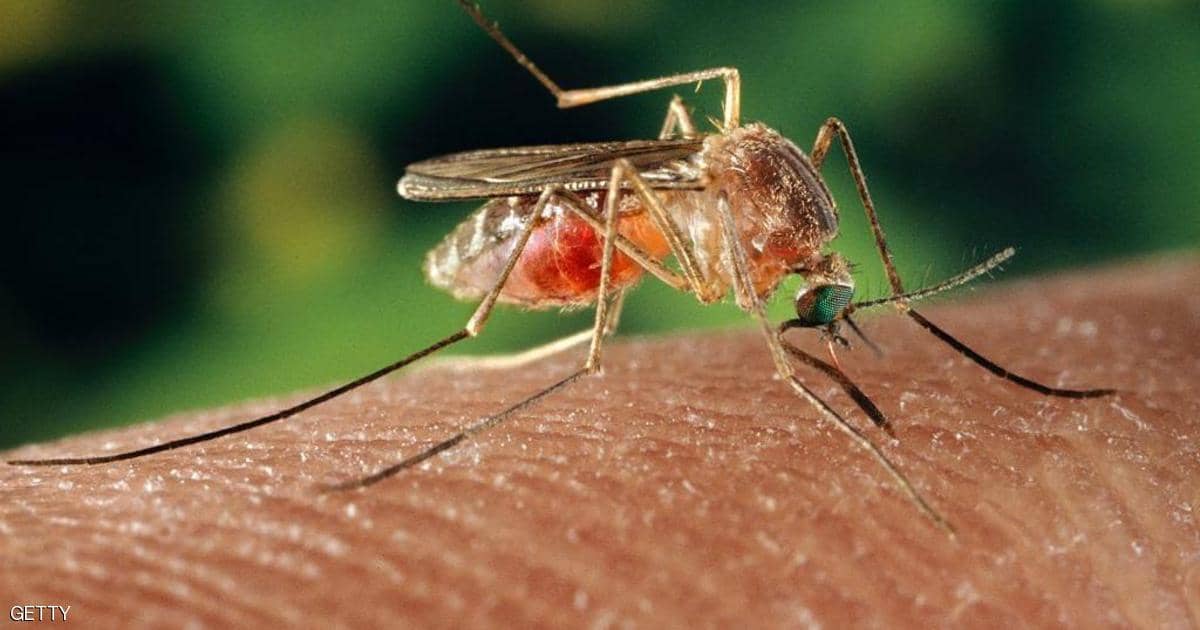 أعراض تشبه مرض كورونا.. والسبب “لدغة حشرة القراد”