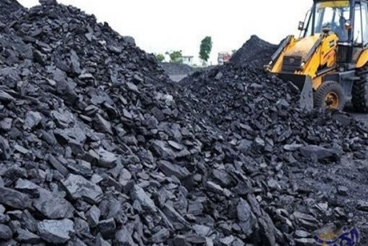 “المياه والغابات” تنفي إنتاج الفحم نواحي اشتوكة
