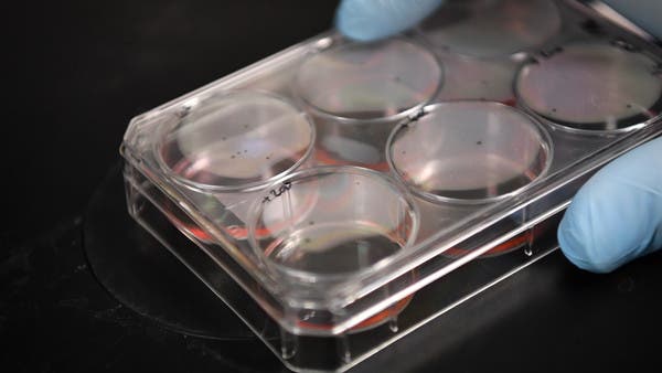 دراسة: طفرة في فيروس كورونا تزيد قدرته على إصابة الخلايا