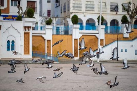 شفشاون تراهن على تشجيع السياحة الداخلية