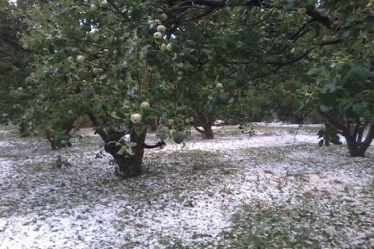 وزارة الفلاحة تحصي أضرار “عاصفة جهة فاس”‎