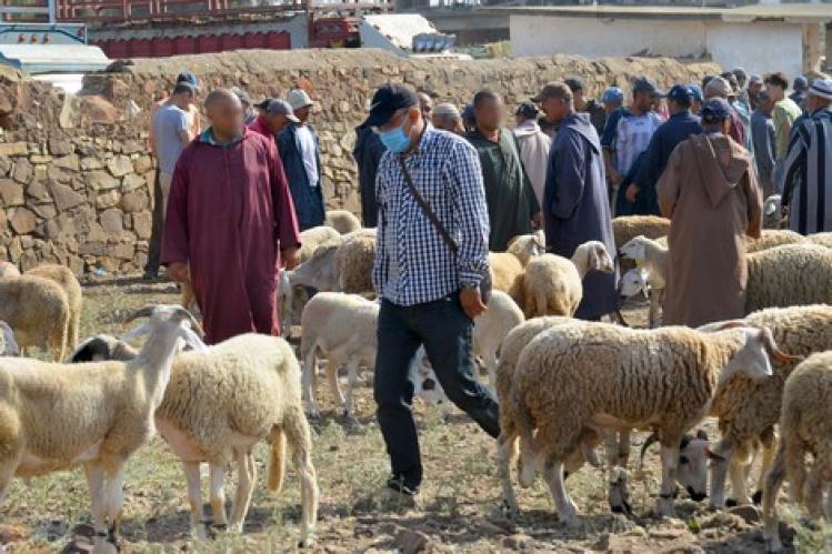 “القادم أصعب” .. خطر تفشي “كورونا” يؤرق السلطات خلال العيد
