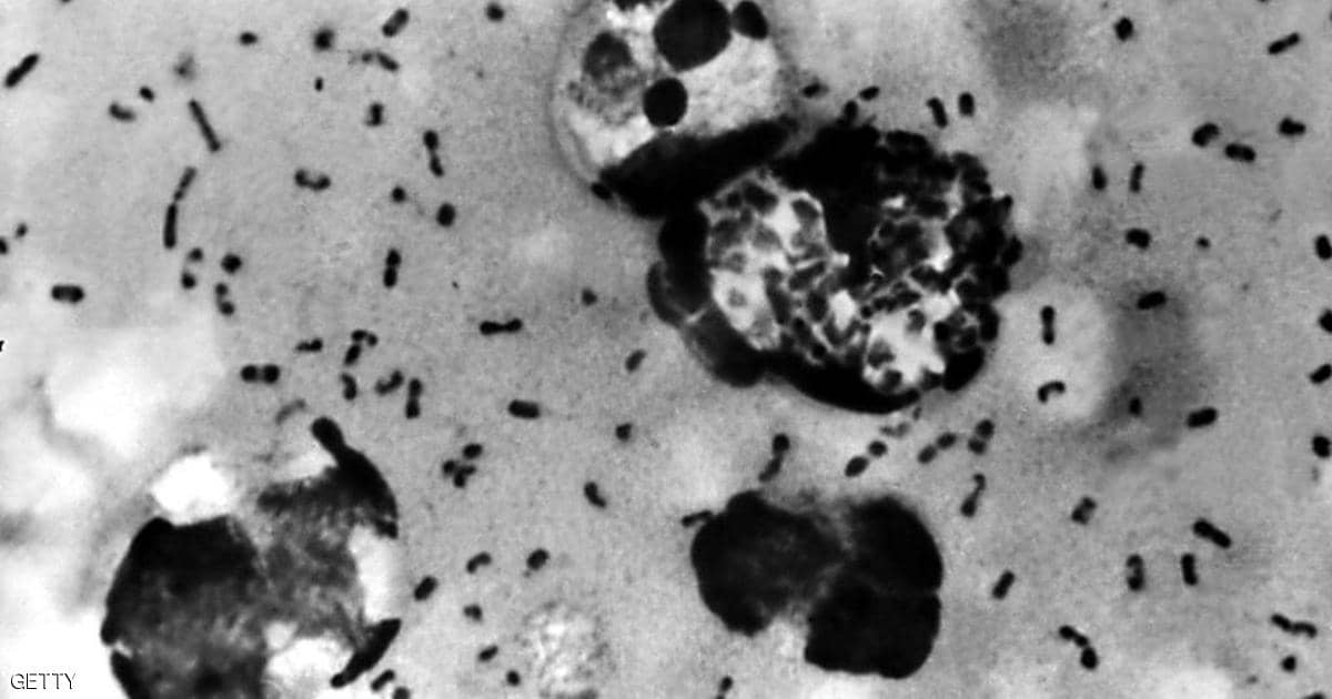 بكين انتصرت على كورونا.. والدولة دخلت معركة “الطاعون”