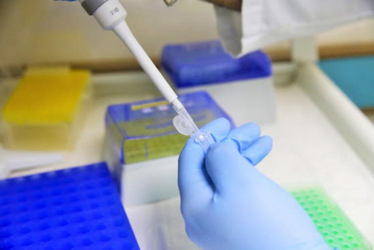 تحاليل تبعد “كورونا” عن مندوب الصحة ببنسليمان