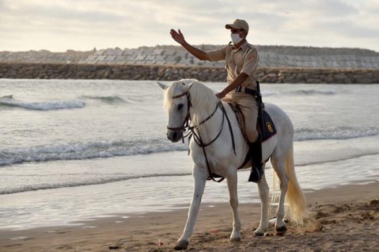 توزيع إصابات “كوفيد ـ 19” على جهات المملكة