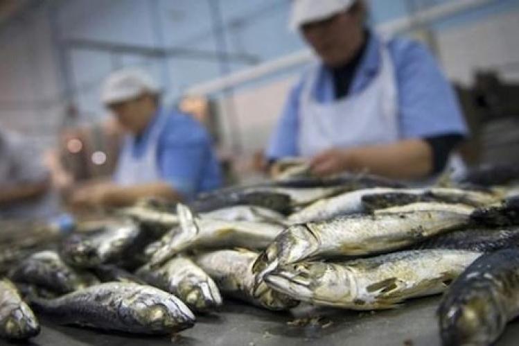 رسميا .. تطبيق إجراءات الحجر الصحي بمدينة آسفي