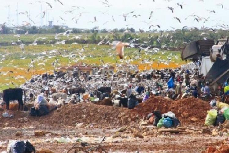 عصارة مطرح النفايات بمديونة تثير قلق السائقين