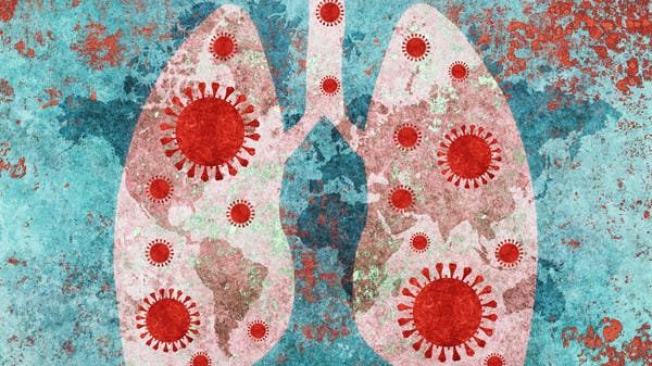 كورونا يحول رئتي مصابة إلى “صخر”.. والزراعة تنقذها