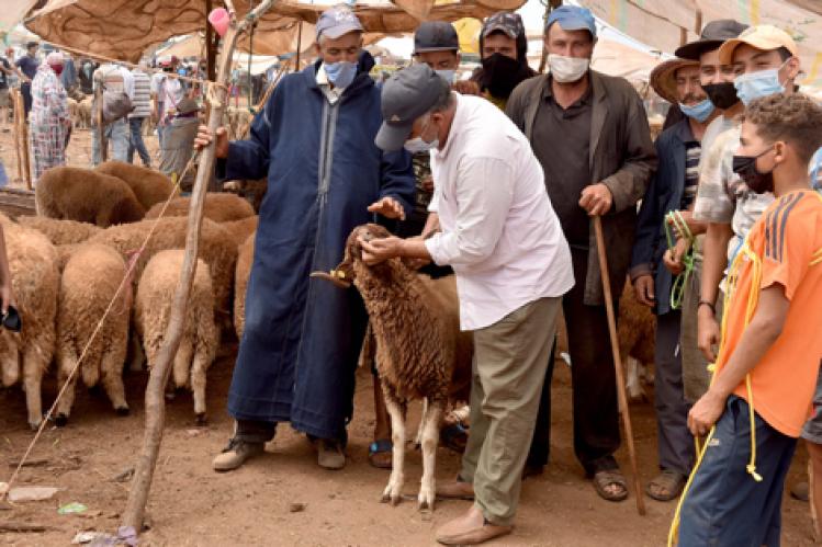 “موسم الهجرة” إلى سوس .. “تمازيرت” تحتفل في زمن وباء كورونا