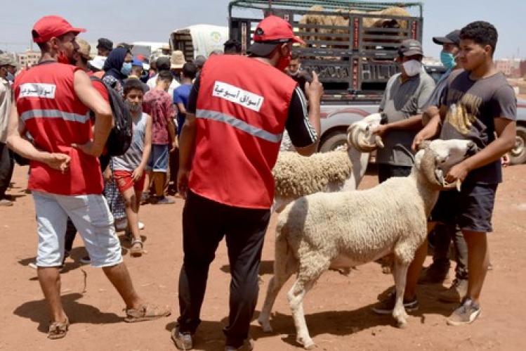 هذه قواعد صحية للتعامل مع أضاحي العيد في زمن “وباء كورونا”