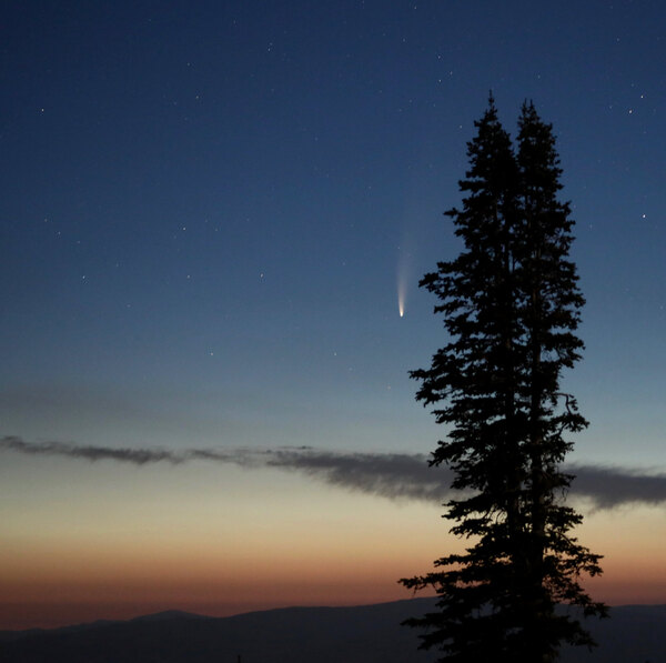 المذنب نيو وايز: عشرة أسئلة وإجابات حول المتجول الجليدي