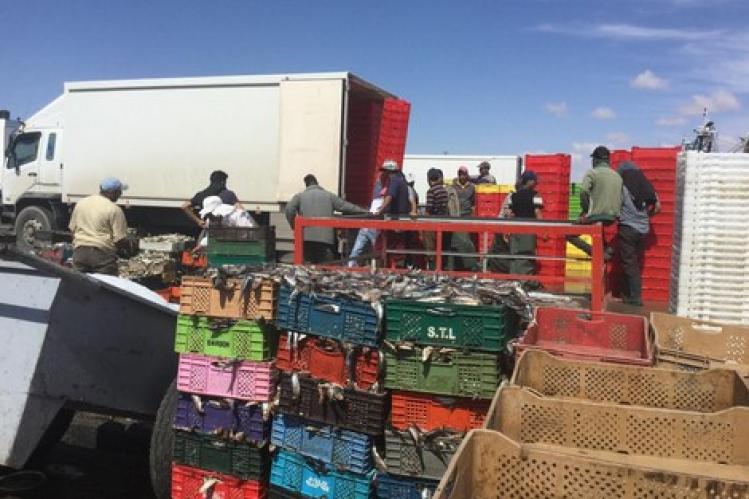 تدابير مشددة لتجنب بؤر “كوفيد-19” بميناء العيون