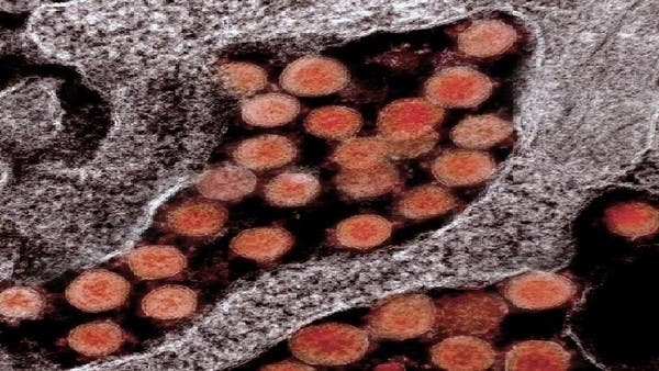 تفشي كورونا يؤدي لكشف سرّ كلمة عربية مشهورة