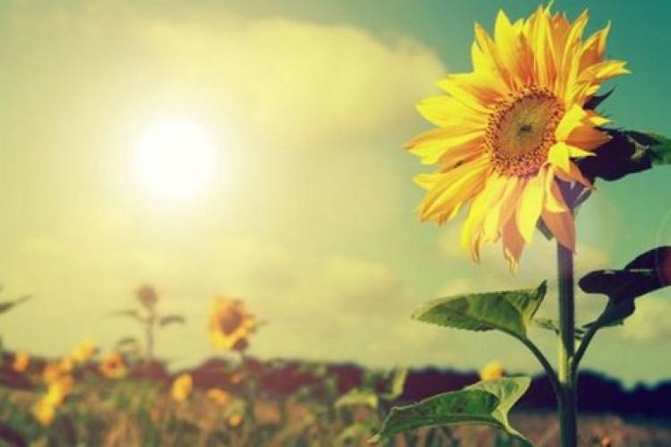 توقعات مديرية الأرصاد الجوية لطقس اليوم الجمعة