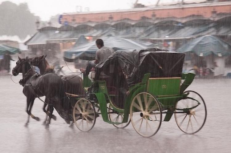 زخات رعدية محليا قوية بعدد من الأقاليم في المملكة