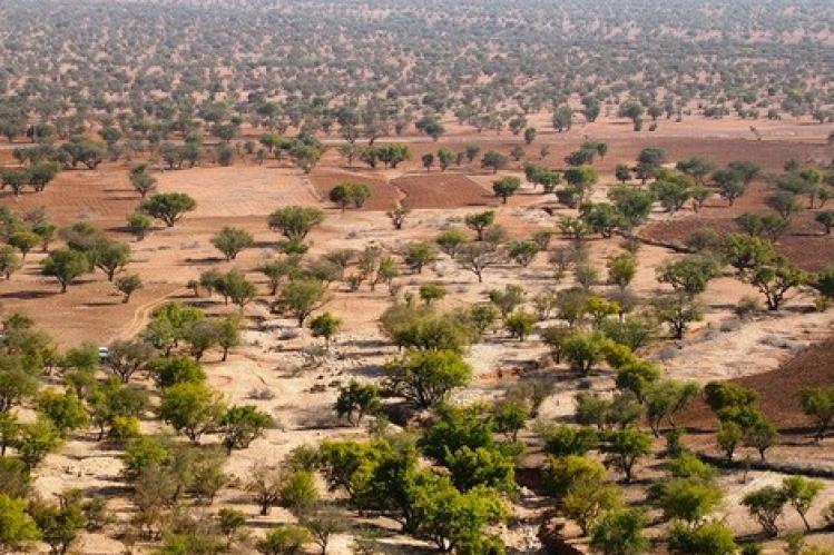 شرط “الإقامة” والفقر يدفعان سلاليين إلى بيع أراضٍ خارج القانون