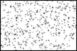 فرضيات شكل الكون وتطوّرها في ضوء نظرية النسبية