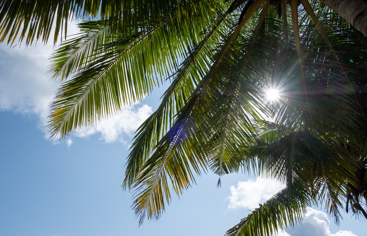 في هذا الحرّ الشديد.. ماذا كانوا يفعلون قبل المكيّفات؟