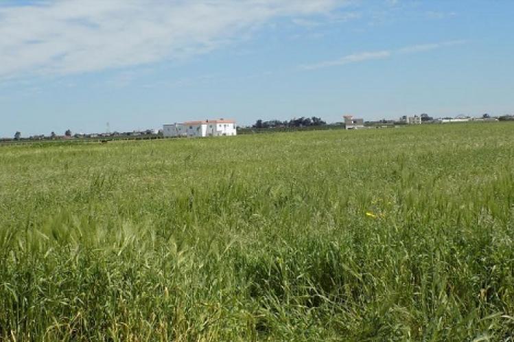 مركز حقوقي يساند “سلاليين” في إقليم سيدي قاسم