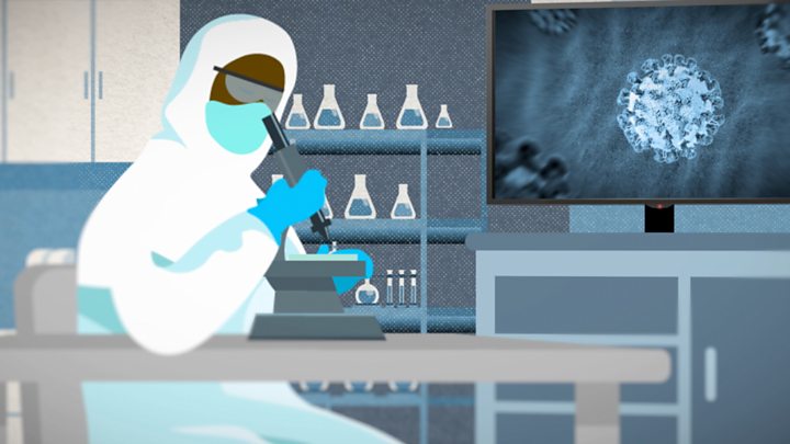 مقامرة كورونا في مصر