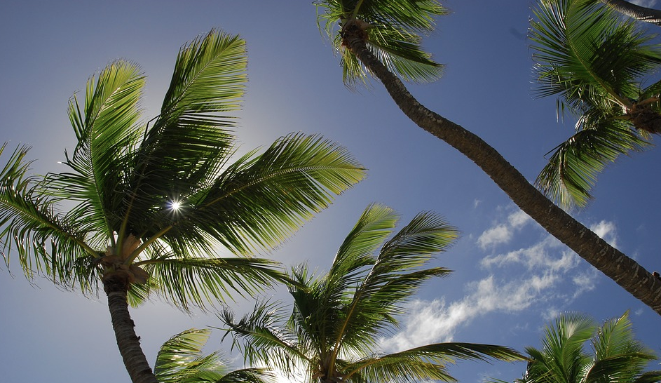 من الخميس إلى الأحد .. موجة حر تجتاح المغرب و الحرارة تصل إلى 47 درجة