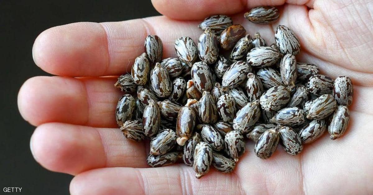 اغتيال بـ”رأس دبوس”.. تفاصيل محاولة “تسميم ترامب”