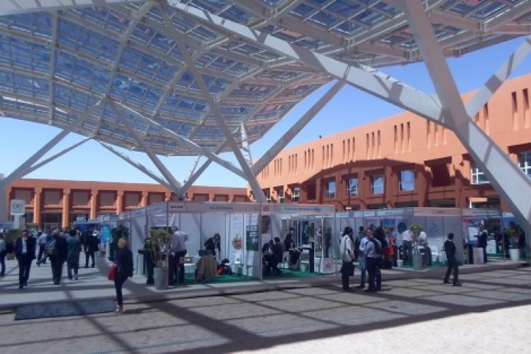 شراكة تجمع بين جامعتي محمد السادس و”تكساس”