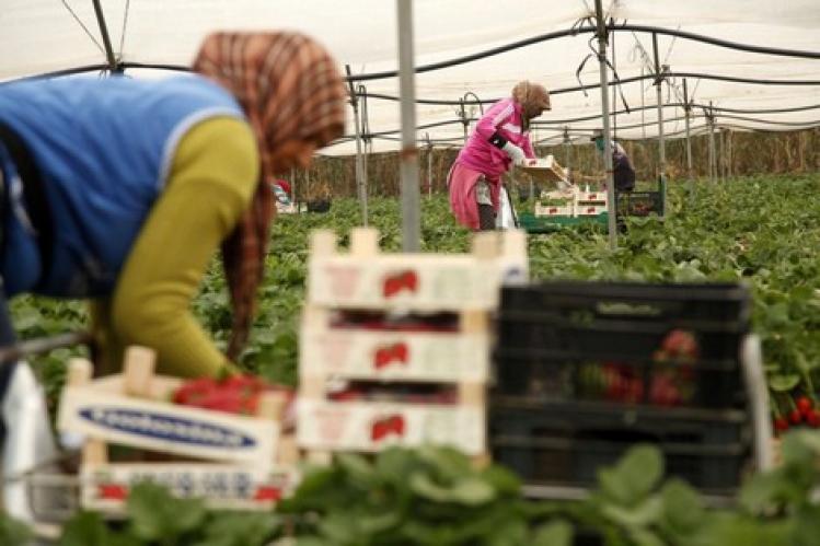 مجموعة نسائية تتذكّر عاملة زراعية شابة متوفية