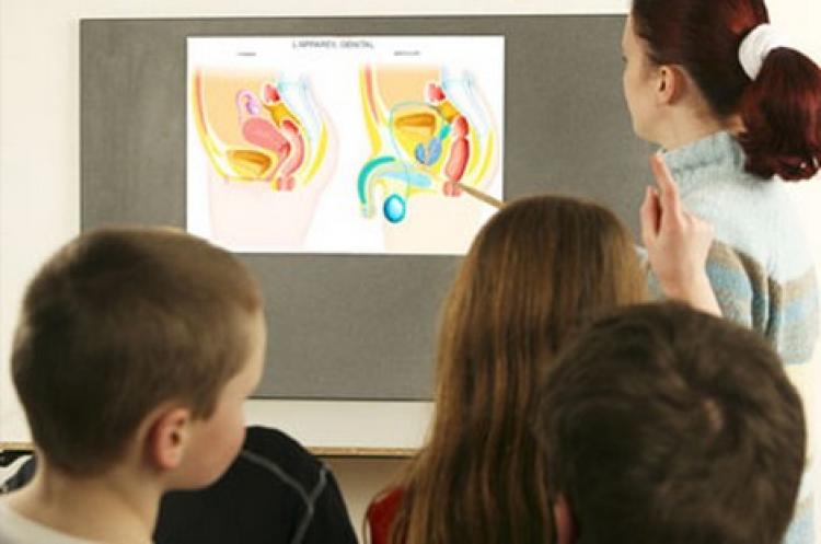 ‬بنيس: هذه متطلبات إدماج التربية الجنسية في المقررات الدراسية