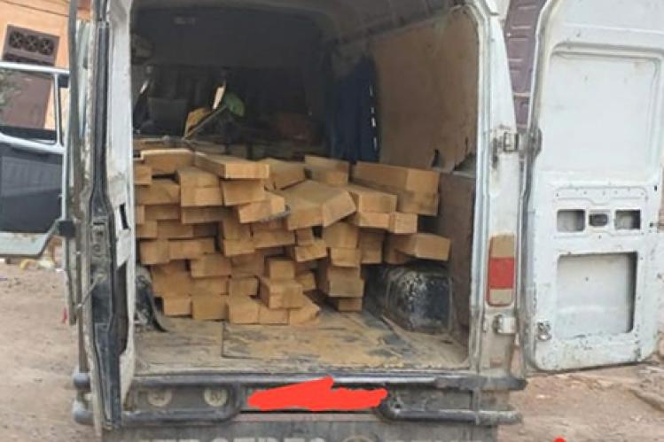 إحباط تهريب أخشاب من الأرز ضواحي خنيفرة