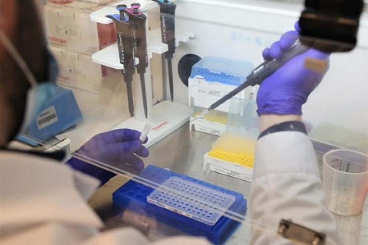 جهة الشرق تسجل 12 حالة وفاة و566 إصابة