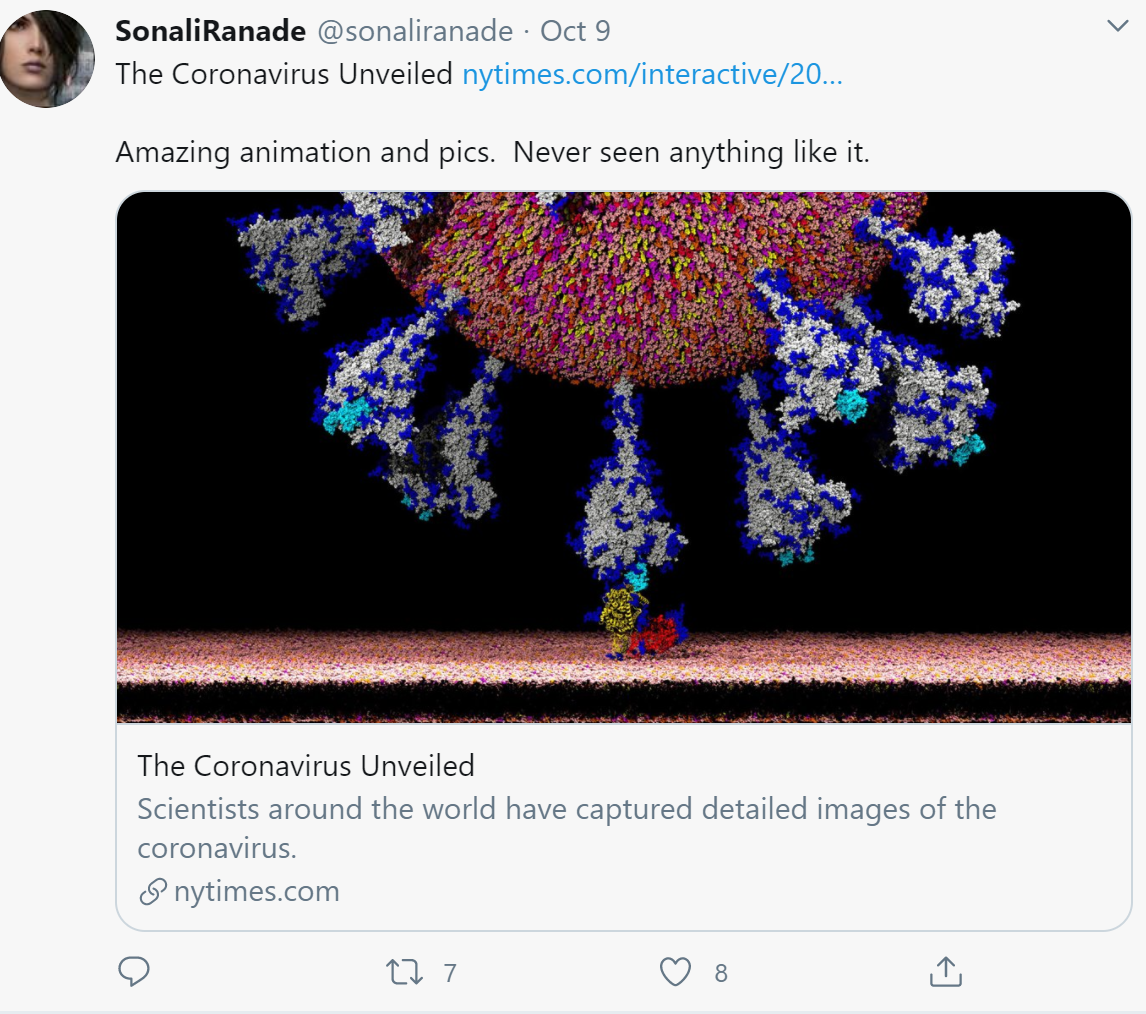 صور قد تفك اللغز.. هكذا يغزو كورونا خلايا الجسم