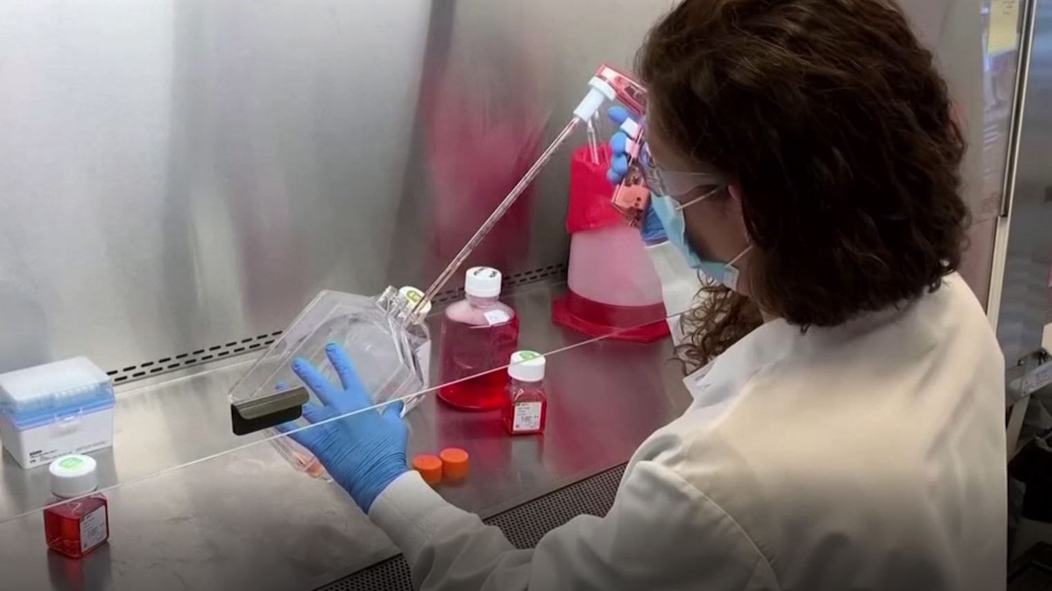 كورونا وباء العصر لكن ثمة ما هو أخطر واللقاحات حتى الآن مفقودة